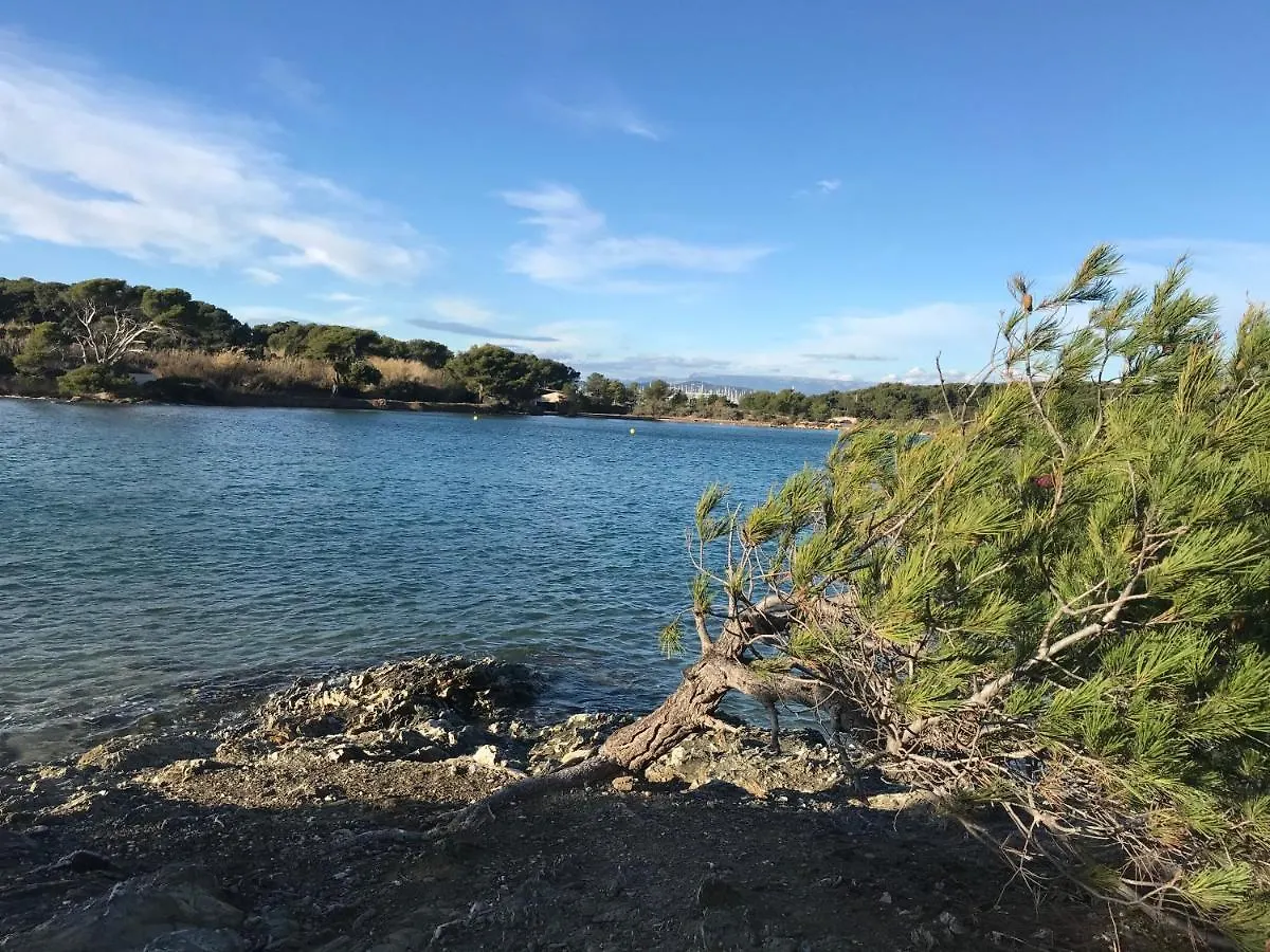 T3 Les Pieds Dans L'Eau, Plage Du Cros, Vue Mer Apartment Six-Fours-les-Plages