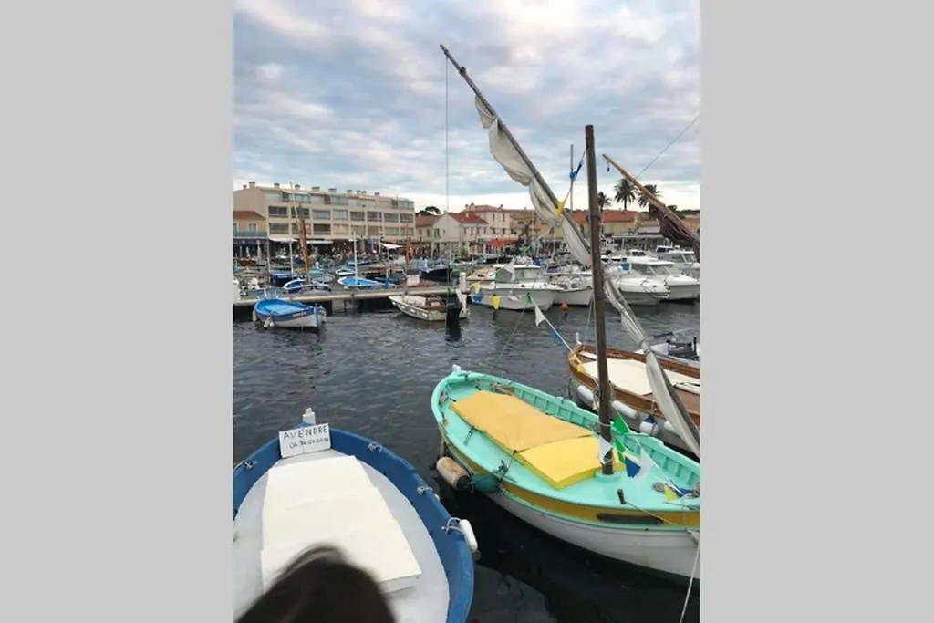 Appartement T3 Les pieds dans l'eau, plage du Cros, vue mer à Six-Fours-les-Plages France