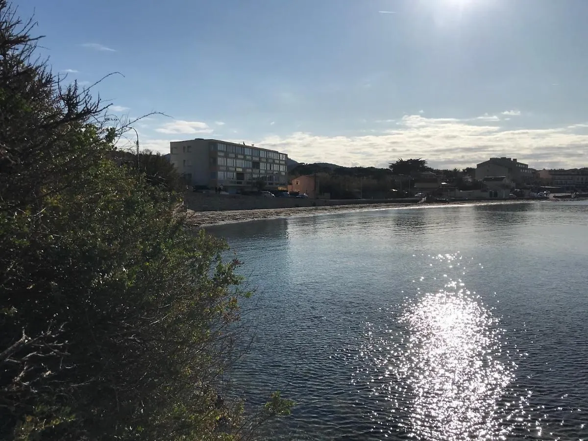T3 Les Pieds Dans L'Eau, Plage Du Cros, Vue Mer Apartment Six-Fours-les-Plages
